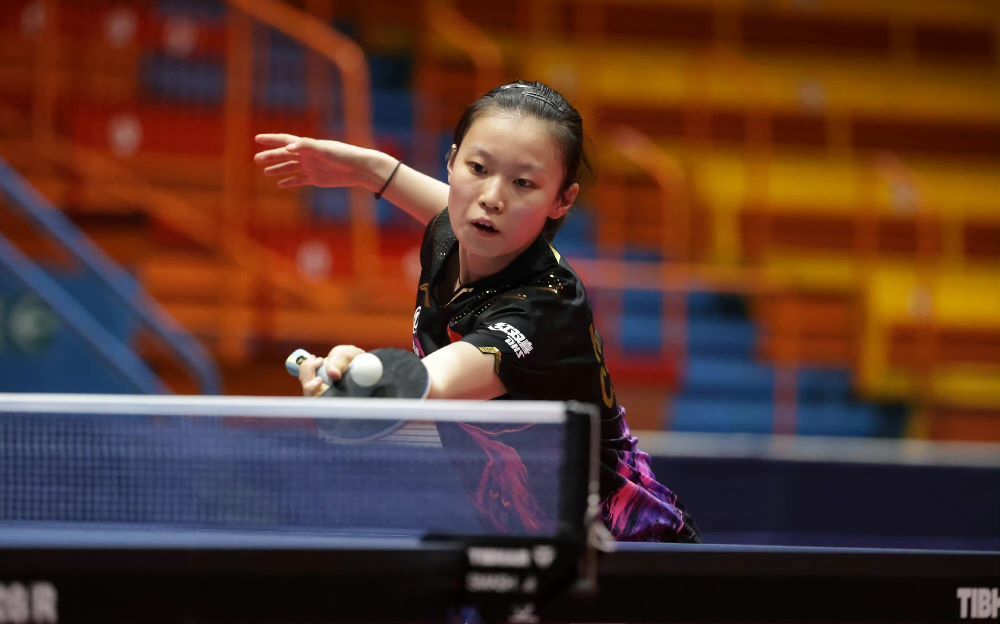 赋已不足以 赋已不足以