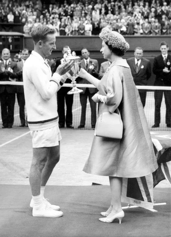 年事已高 年事已高