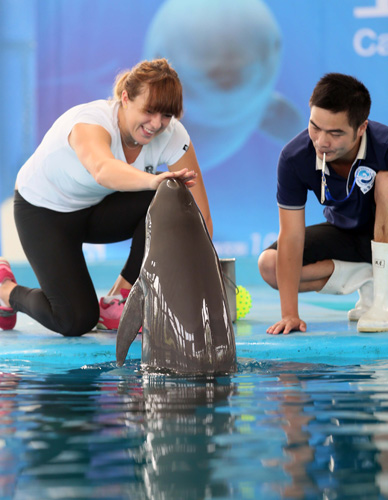 也是巨大的 也是巨大的